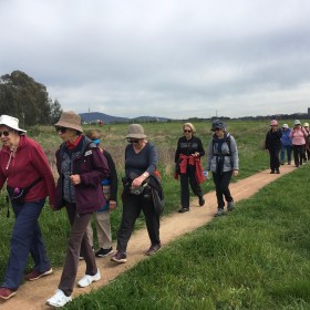 Jerrabomberra Wetlands, 4 October 2022