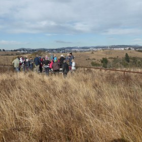 Molonglo Woodland Track, 22 June 2022