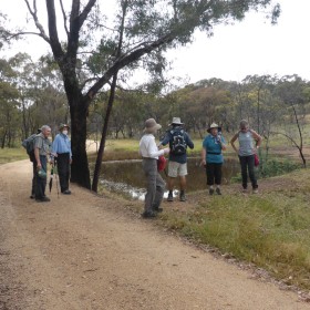 Mulligans Flat NR, 7 January 2022