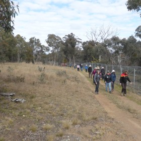 Mulligans Flat NR, 7 September 2022