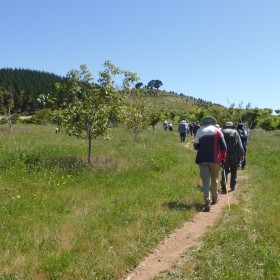 National Arboretum, 25 November 2022