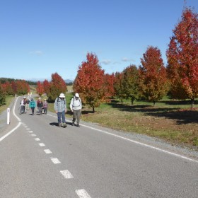 National Arboretum LW, 17 May 2022