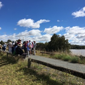 Percival Hill Nature Reserve, 8 February 2022