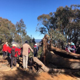 The Pinnacle Nature Reserve, 27 July 2023