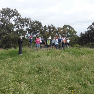 Griffith 12 January 2022