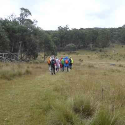 Settlers Track LW 19 April 2022