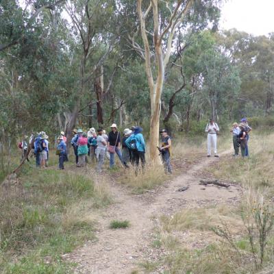 Stirling Ridge 16 March 2022