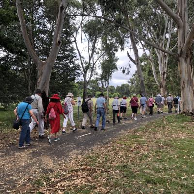 Yarralumla 25 January 2022