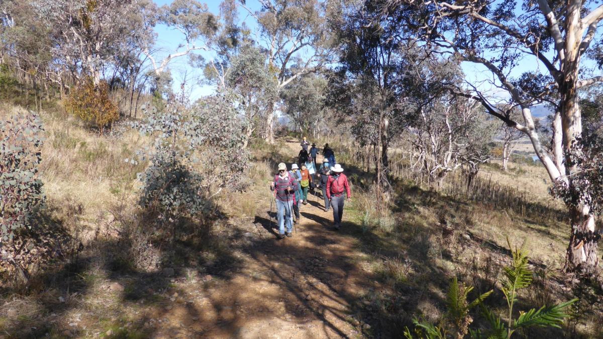 Tuggeranong Hill 29 July 2022