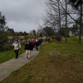 Lyneham Wetlands, 12 September 2023