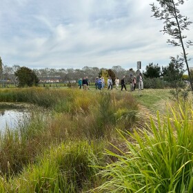 Mawson Ponds, 6 April 2023