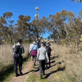 Mt Rogers, 20 August 2023