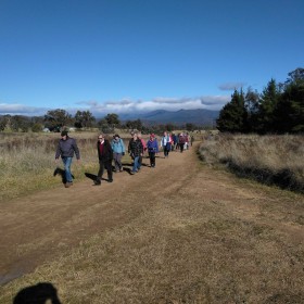 Narrabundah Hill, 11 July 2023