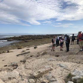 Whale Point Beecroft Penninsula, 16 March 2023