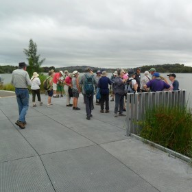 Lake Ginninderra, 21 February 2024
