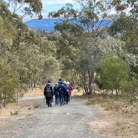 Mount Taylor Nature Reserve, 16 July 2024
