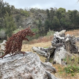 Namarag Reserve, 11 July 2024
