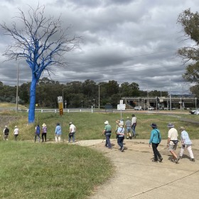 Oakey Hill Nature Reserve 20 February 2024