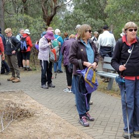 Bungonia Gorge bus-trip walk, 23 October 2015