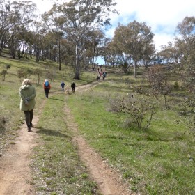 Gecko Hill, Goorooyarroo Nature Reserve, 25 September 2015