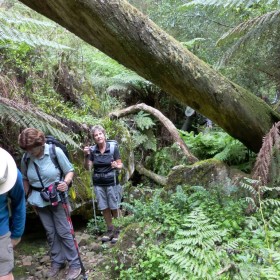 Marble Arch, Morton National Park, 3 December 2015