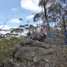 Morton National Park, 3 December 2015