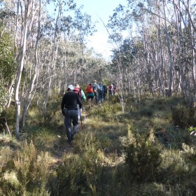 Mt Aggie, 31 March 2015