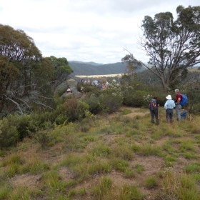 Murrumbidgee Corridor, 22 January 2015