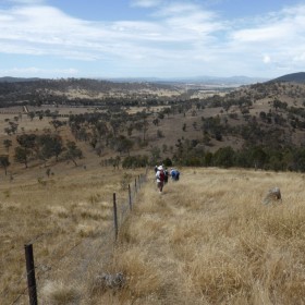 Old Joe Hill towards Gecko Hill, Goorooyarroo Nature Reserve, 21 January 2016