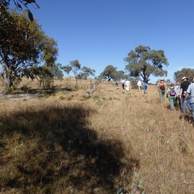 Tuggeranong Railway, Tralee, 25 March 2015