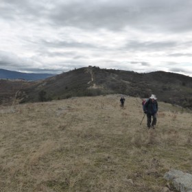 Wanniassa Hills, 16 July 2015