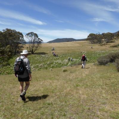 Orroral Valley, 20 November 2014
