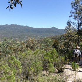 from Eliza Saddle track towards Tidbinbilla Peak and Camel Hump, 29 Oct 2014