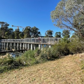 Lyneham Wetlands, 18 March 2025