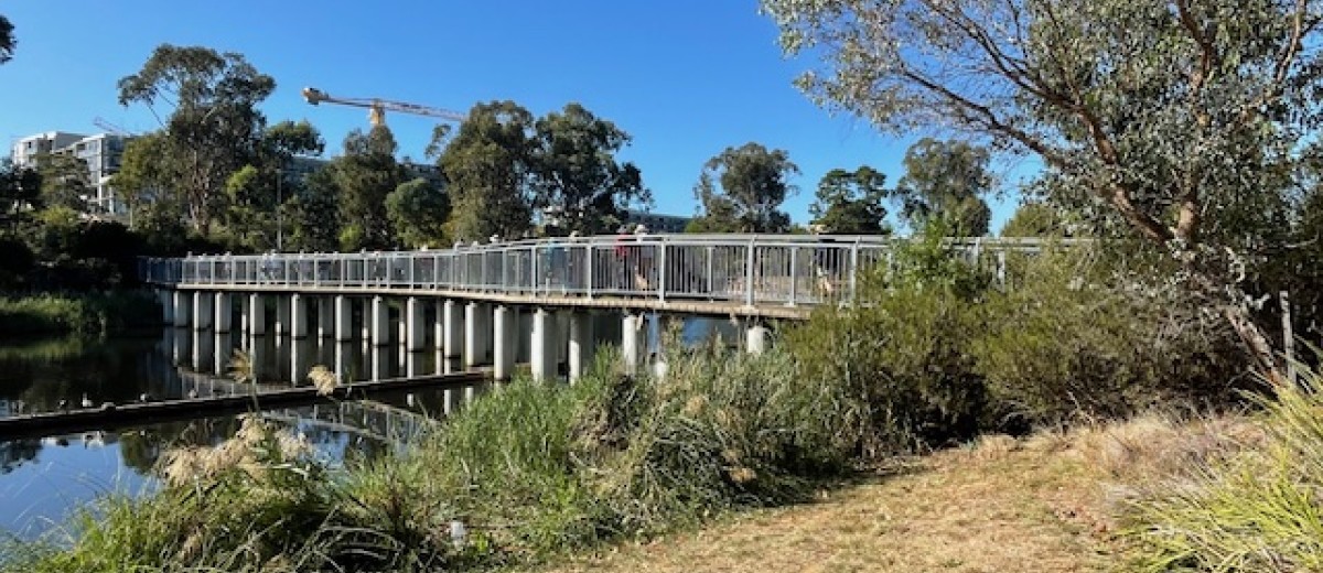 Lyneham Wetlands, 18 March 2025