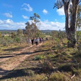 Mulligans Flat, 25 March 2025
