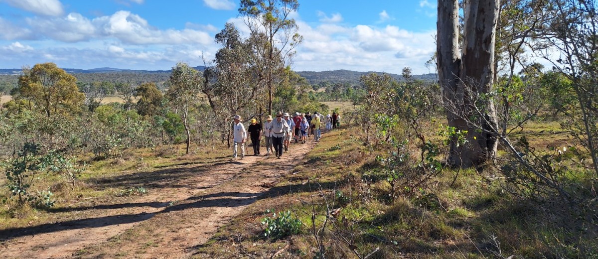 Mulligans Flat, 25 March 2025